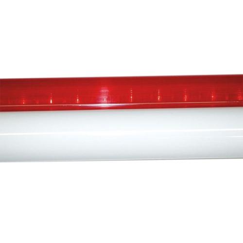 GEN6100196