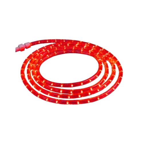 GEN6100297