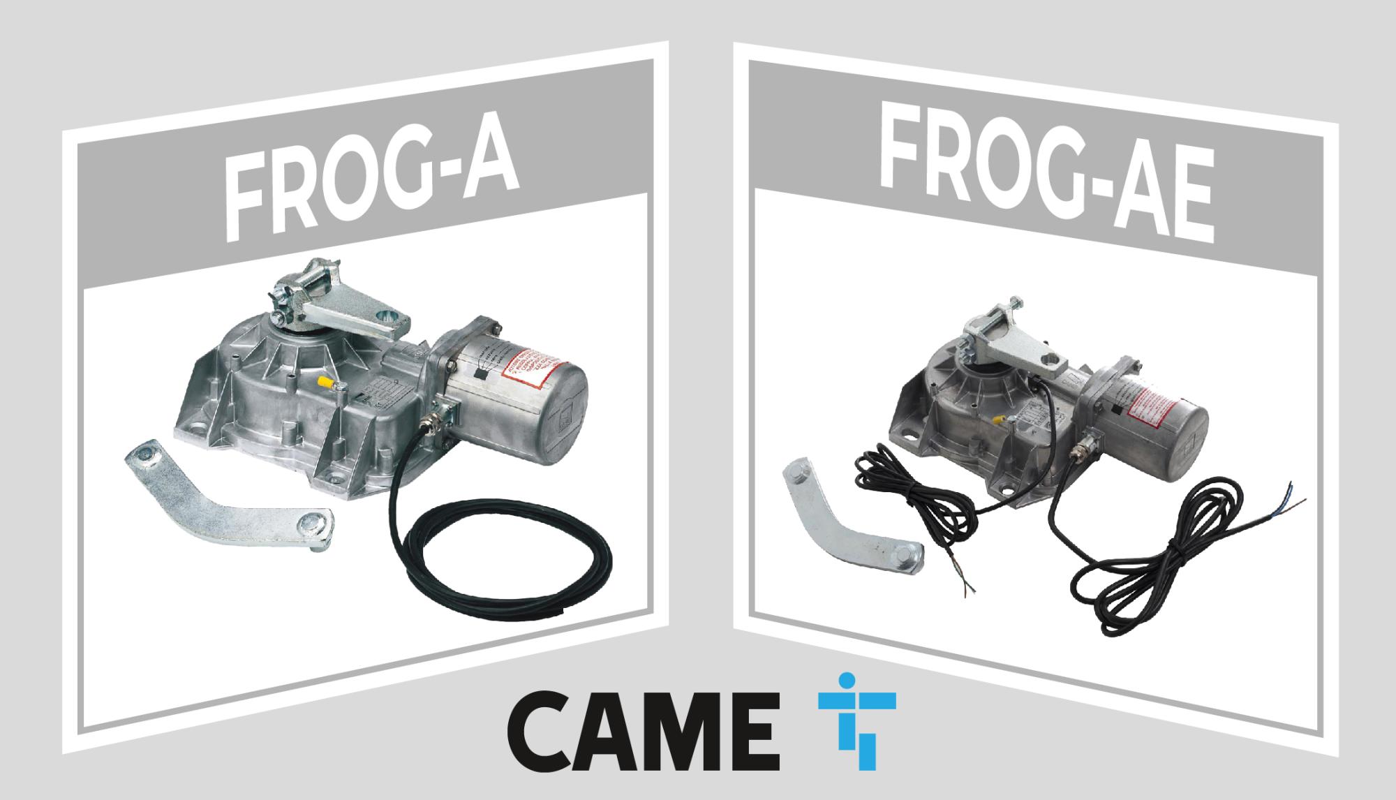 Potenza Nascosta Offerta Visibile CAME FROG in Promo!